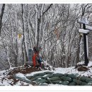 매봉산 농장 이미지