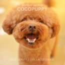 토미펫샵 이미지