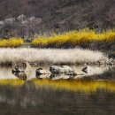 [구례] 운조루(雲鳥樓) 이미지