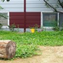 이든의원 이미지