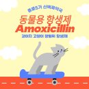 백제 동물약국 이미지