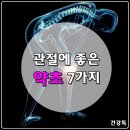 관절에 좋은 약초 7가지..효능과 복용방법 이미지