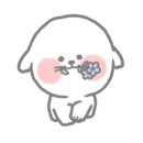 예쁘개 미용 이미지