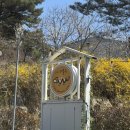 더블유 | 당진카페 애견운동장 더블유, 리얼솔직 후기🐶