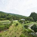 한적한 家