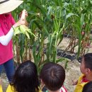 이천농업테마공원 이미지