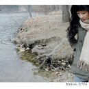 가**수(주) 이미지