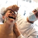 우리동물약품 이미지