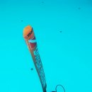 인천광역시 문학박태환수영장 다이빙풀 이미지