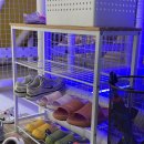 청춘바다낚시 | 시흥 배곧 키즈카페 우리끼리 스포츠마을 추천 | 아기랑 가기 좋은곳 찐 후기