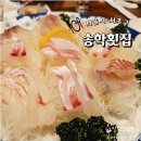 송학횟집 | 교대역 횟집 송학횟집 교대 룸식당