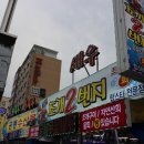 조개2번지 | 포항 영일대해수욕장 맛집 : 조개2번지 솔찍후기