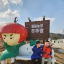 영춘농장 이미지