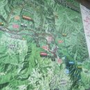 보리와 차이야기 | 대관령 선자령 등산 후기 | 대형견 동반 가능한 강원도 등산 코스 (보리 힌트 루트)