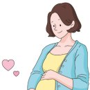 더팜플러스 이미지