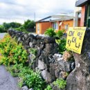 매일더탐나 이미지