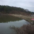 영천참붕어 이미지