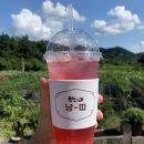 낭띠전원카페 이미지