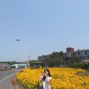 랑카위협재 이미지