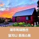 알지니포레스트