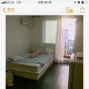 블루버드펜션 이미지