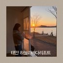 하늘애견 | 충남 태안 신두리 하늘과바다리조트 애견동반여행 내돈내산 다녀온 후기