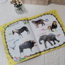 영어그림책과 함께하는 키즈 그래프트 | 5세 엄마표영어 홈스쿨링 가이드!