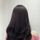더(The)헤어