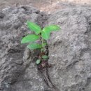 송암태권도 이미지