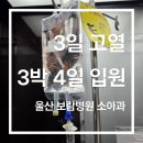 울산 보람병원 소아과 입원 후기 | 3일 고열로 3박 4일 다인실 입원 기록