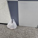 데일리프룻