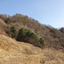 부촌리 이미지
