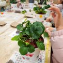 소새울유치원 이미지