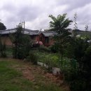 중앙탑면사무소 이미지