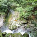 자연황토민박앞 이미지