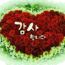 송암농장(1) Daum카페