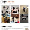 선어무침회 | 일상이 서말이어도 꿰어야 보배다