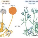 예담식품