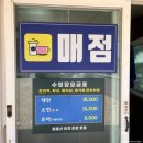 월출산온천관광호텔 | 근교 물놀이 영암 월출산온천관광호텔 야외수영장 추천 솔직후기 평상 무료 취사 가능 온천도 즐길 수...