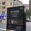 커피에반하다 도당동장미공원점 | [부천 애견 동반 카페] 도당동 장미공원 근처, 봉크닉