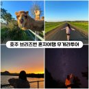 (주)혼정보통신 | [호주 브리즈번] 무게라별빛투어 반일투어 혼자여행후기