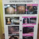 천수당한의원 이미지