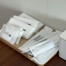 포레스트모가 이미지