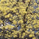 햇빛 행정사사무소 이미지