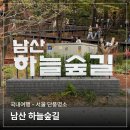 남산작은도서관 | 남산 하늘숲길, 단풍 명소 이번 주가 마지막! 이태원 주민의 리얼 산책 후기