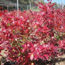 가을농장 이미지