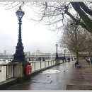 로즈하우스민박 이미지