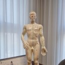 오산 체형교정 마사지 비에스테라피 이용 후기