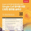 엘씨케이솔루션