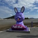 보라해물부대전골 | 신안 대형식당 보라해물부대전골 | 남녀노소 좋아할 전남 신안군 퍼플섬 천사대교 맛집
